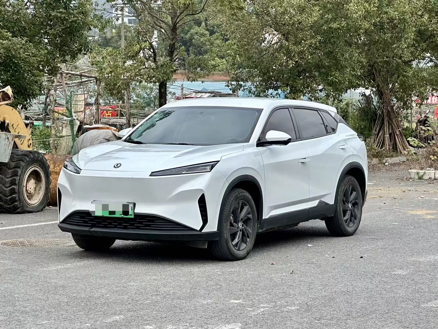 Dongfeng SKY EV01  из Китая