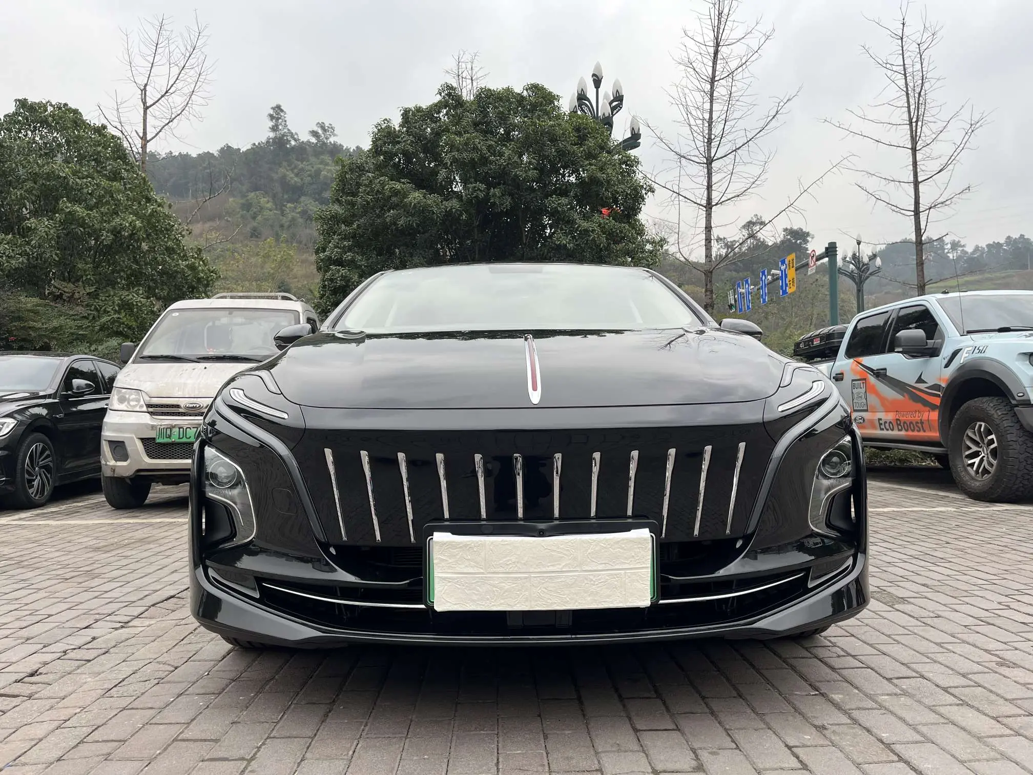 Hongqi E-QM5  из Китая