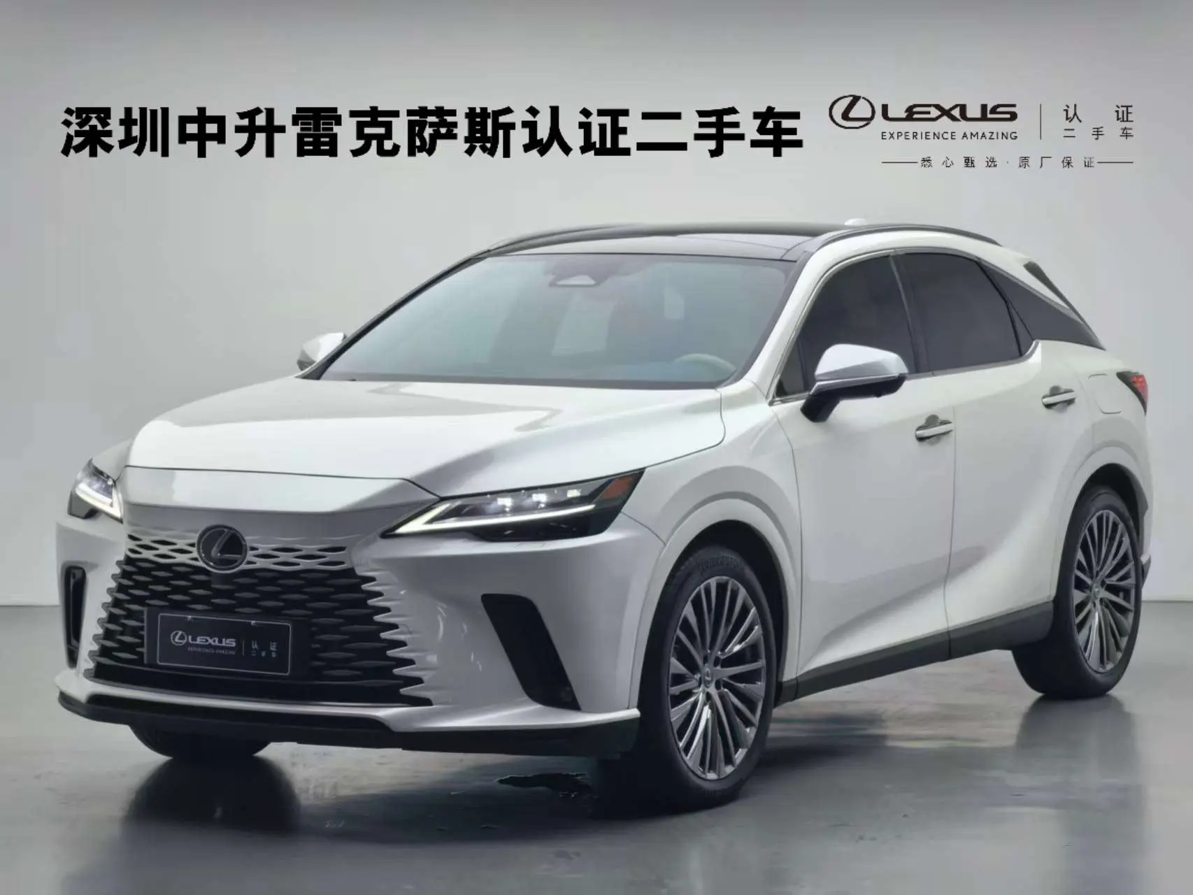 Lexus RX PHEV  из Китая