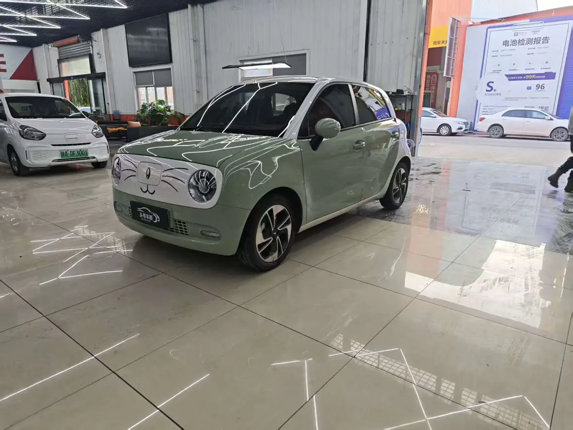 ORA Euler black cat  из Китая