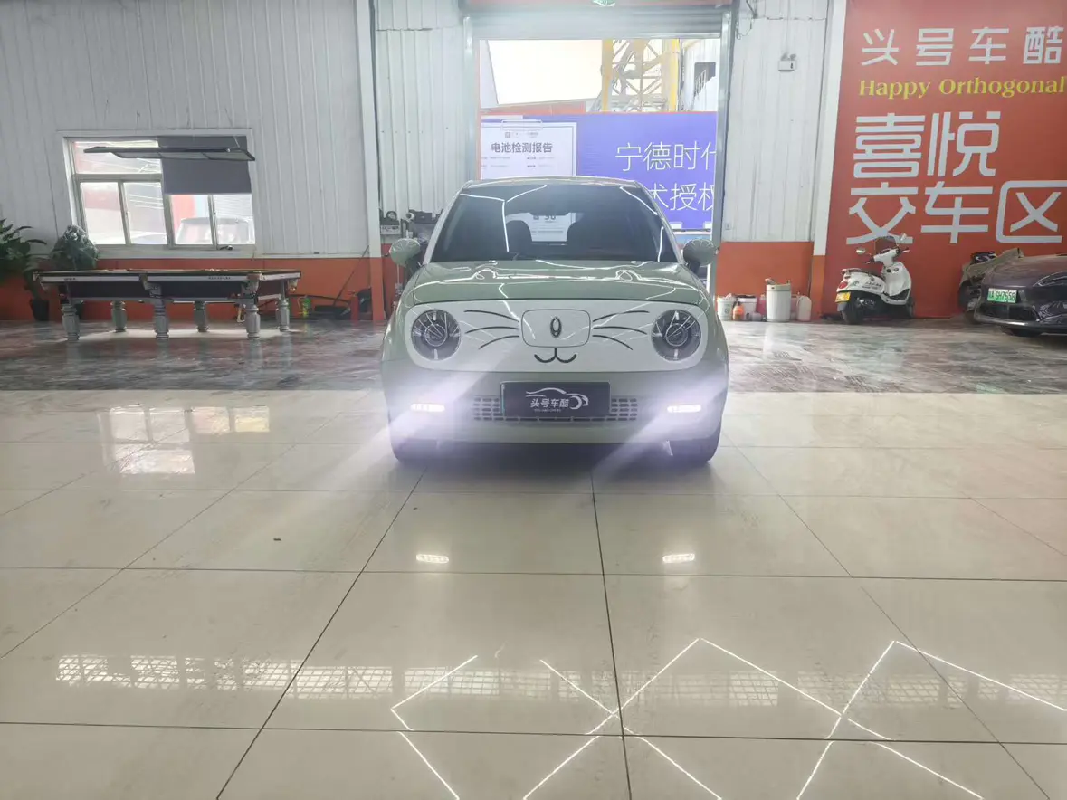 ORA Euler black cat  из Китая