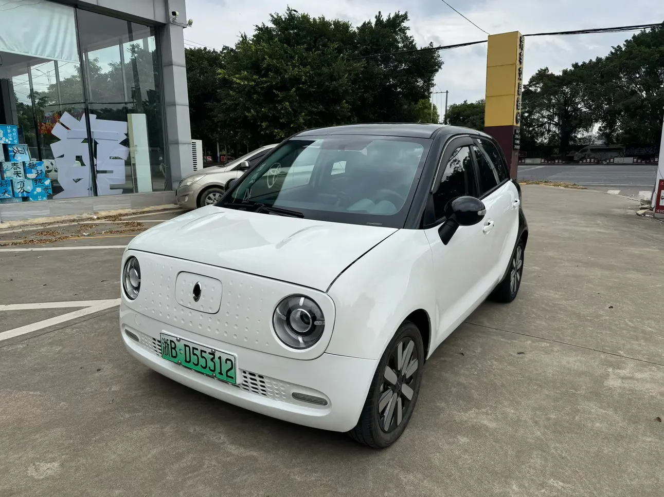 ORA Euler black cat  из Китая