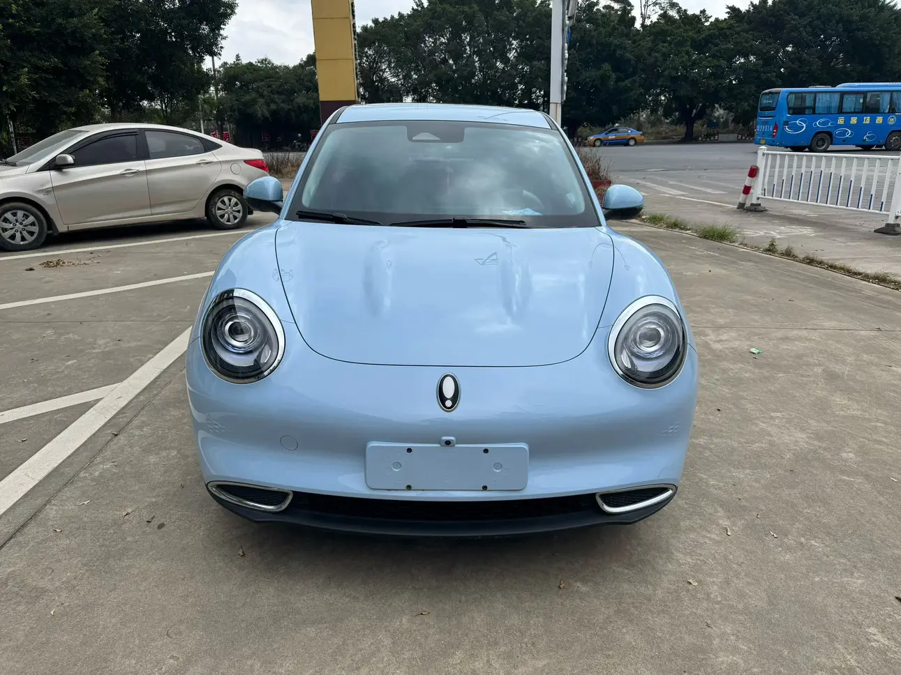 ORA Euler good cat  из Китая