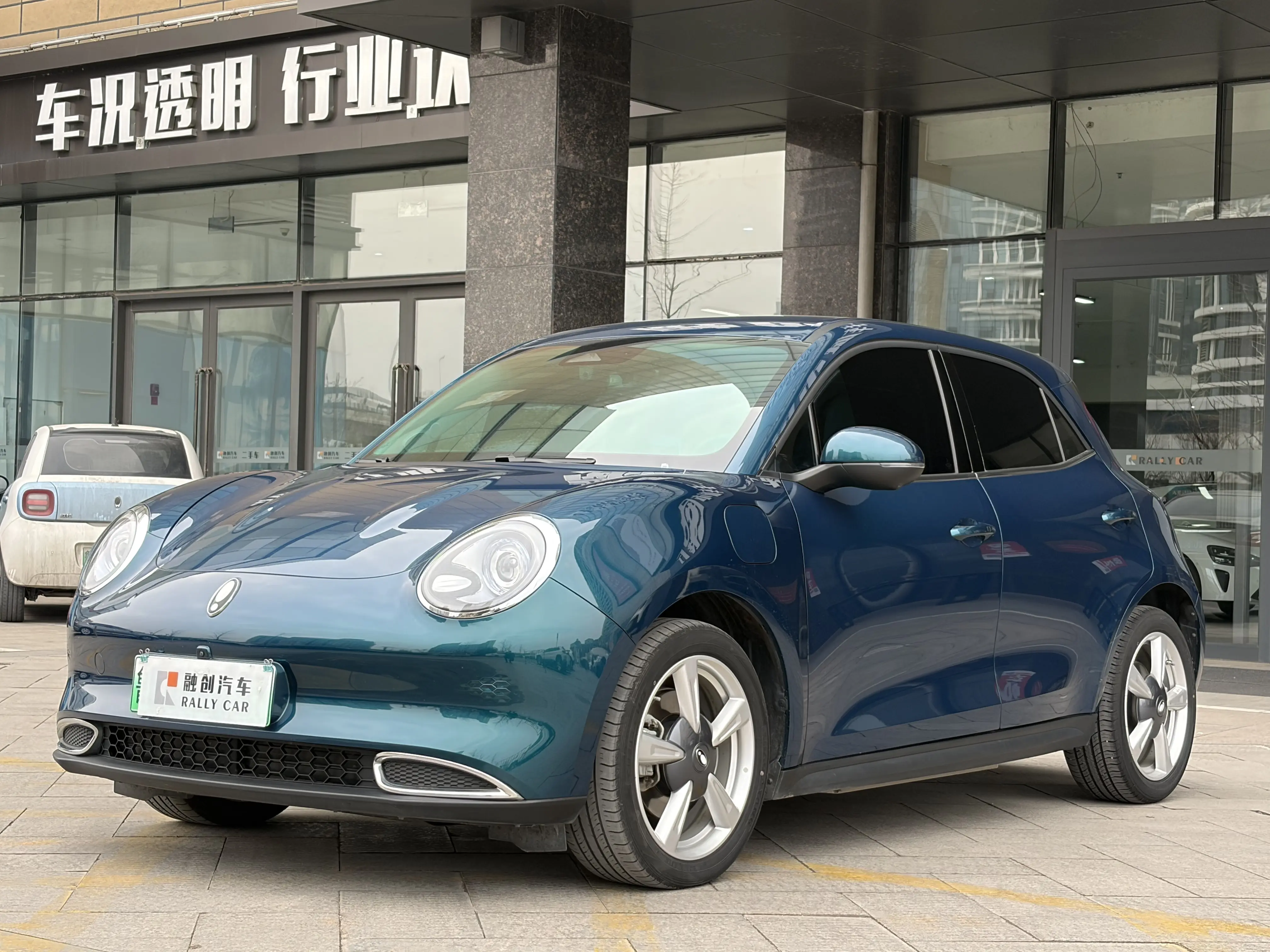 ORA Euler good cat  из Китая