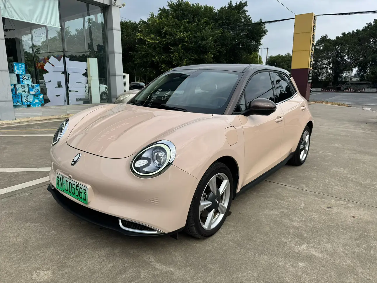 ORA Euler good cat  из Китая