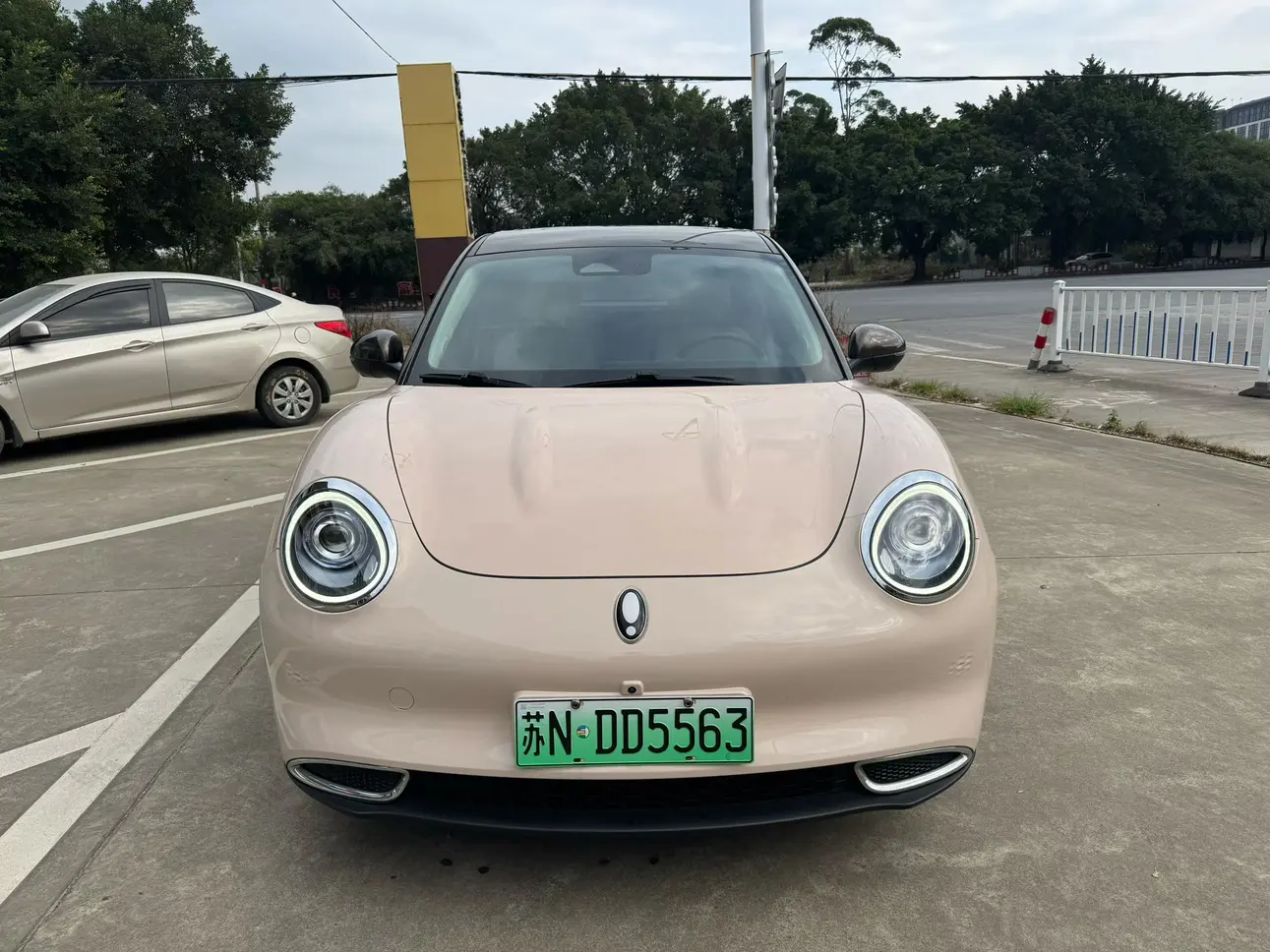 ORA Euler good cat  из Китая