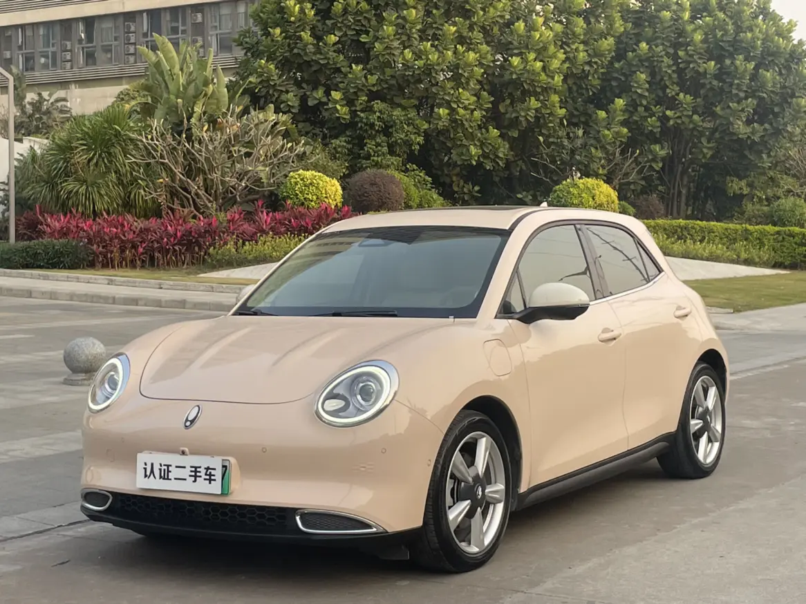 ORA Euler good cat  из Китая