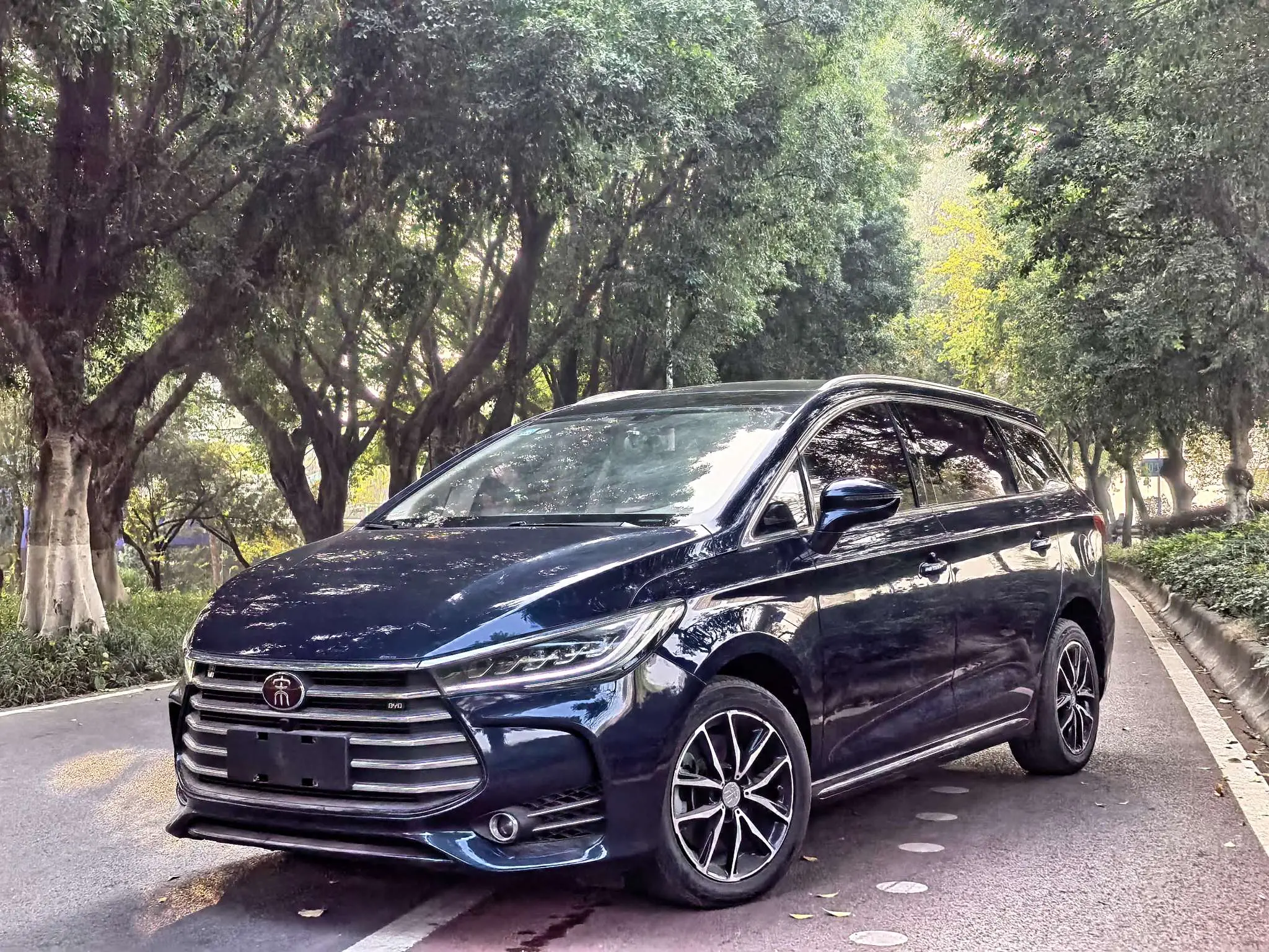 BYD Song MAX  из Китая