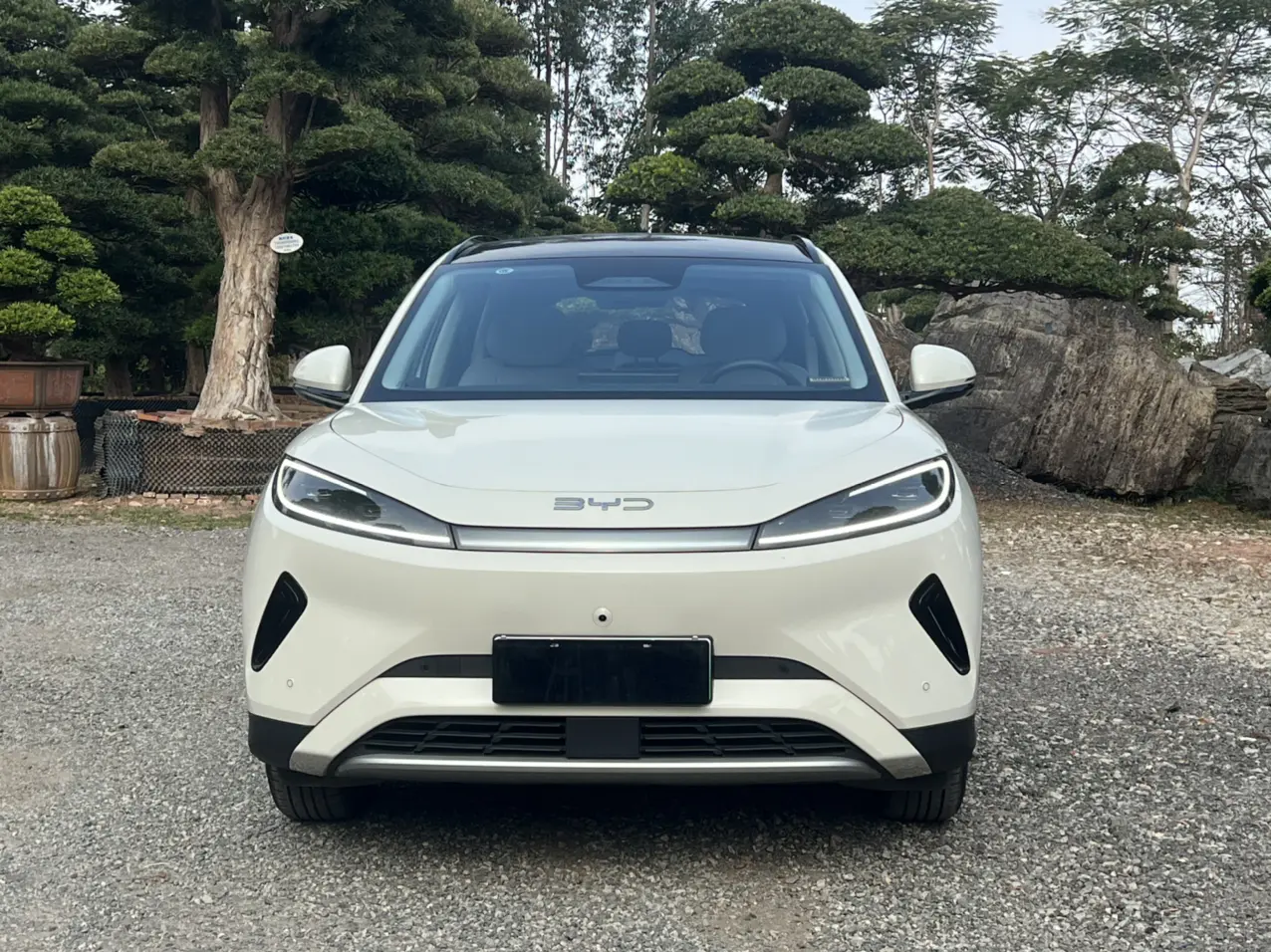 BYD Sea Lion 05EV  из Китая