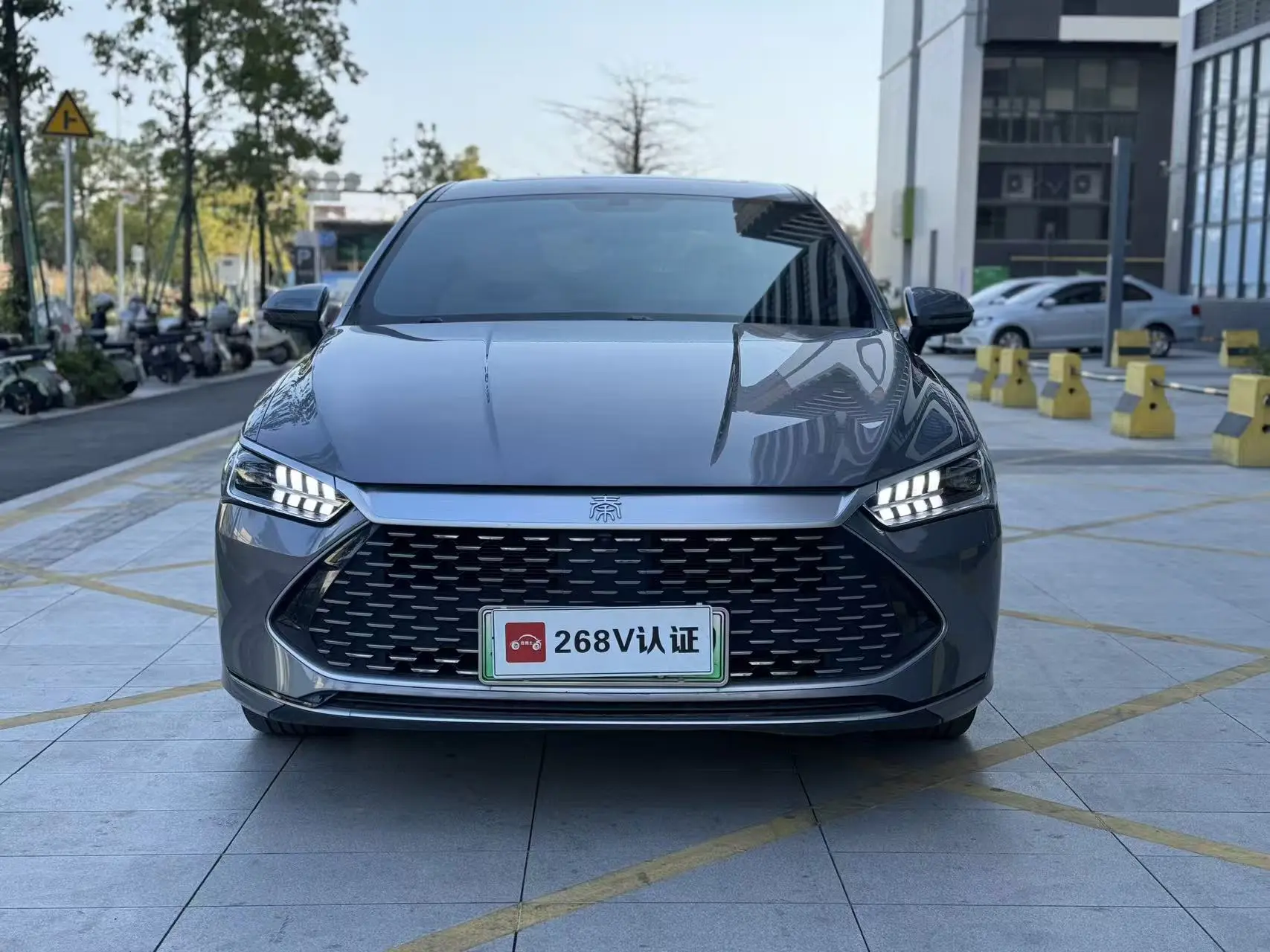 BYD Qin PLUS DM  из Китая