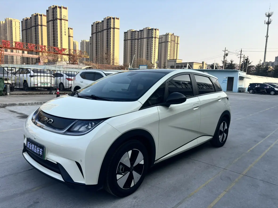 BYD Dolphin  из Китая