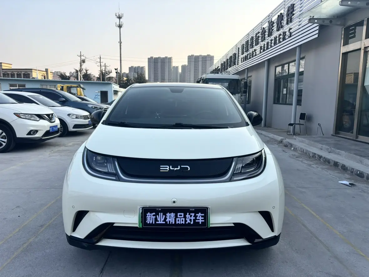 BYD Dolphin  из Китая