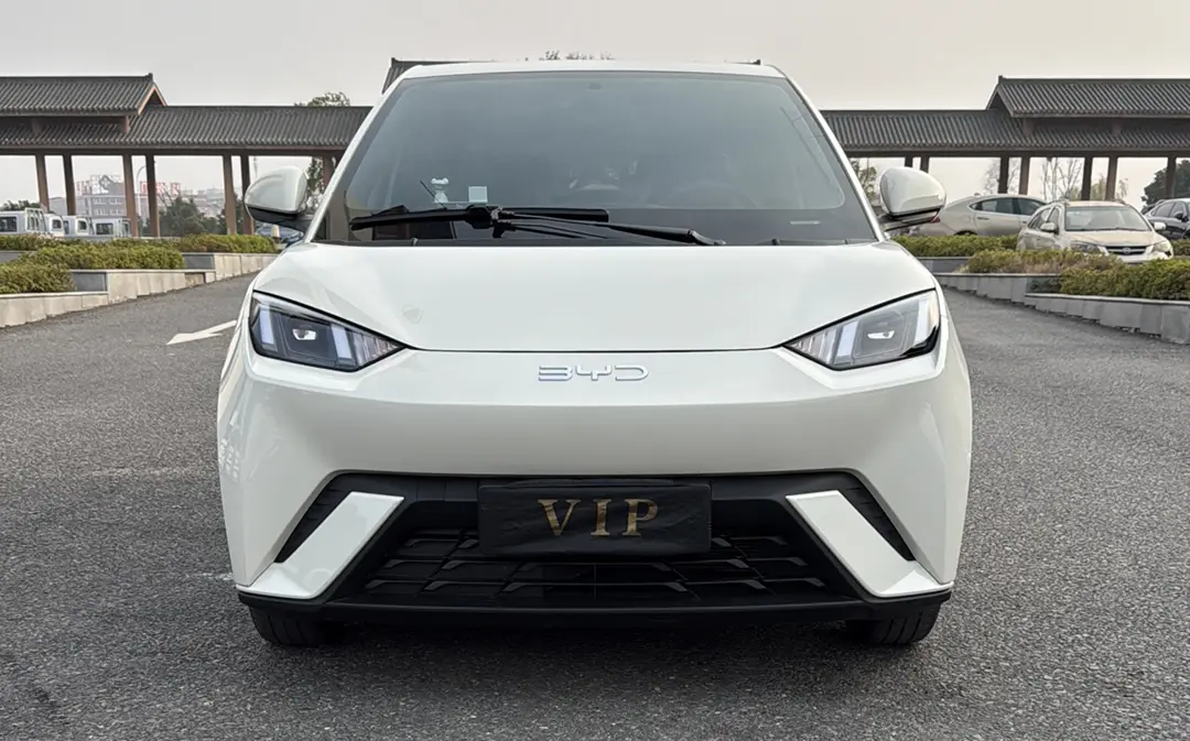 BYD Seagull  из Китая