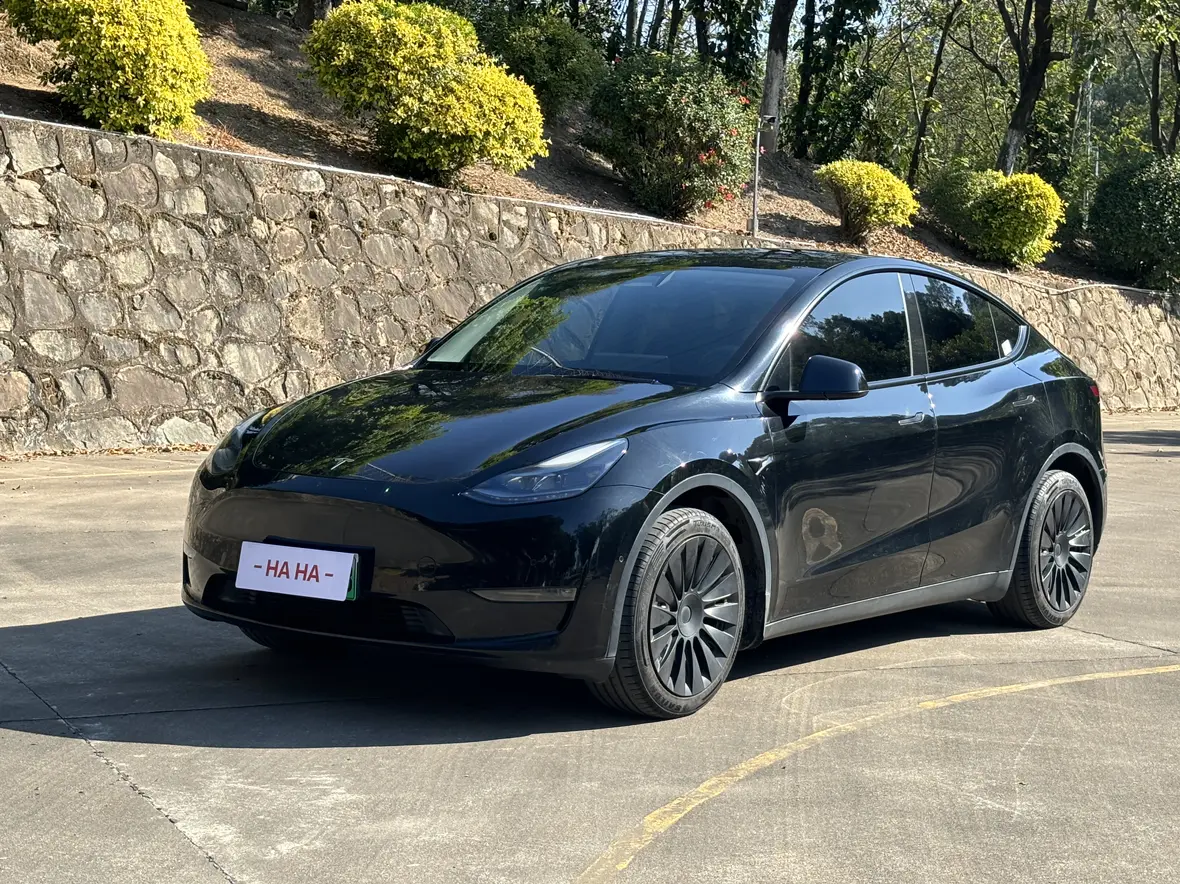 Tesla Model Y  из Китая