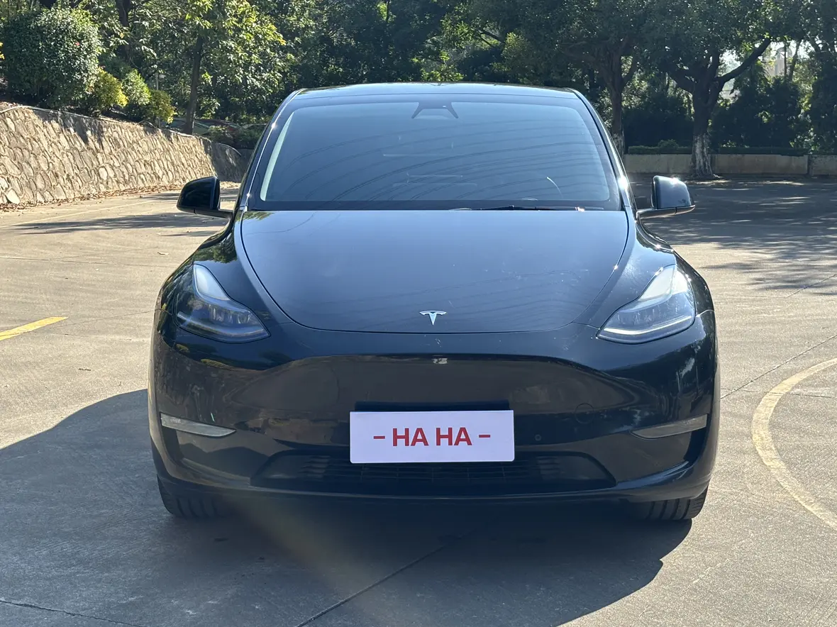 Tesla Model Y  из Китая