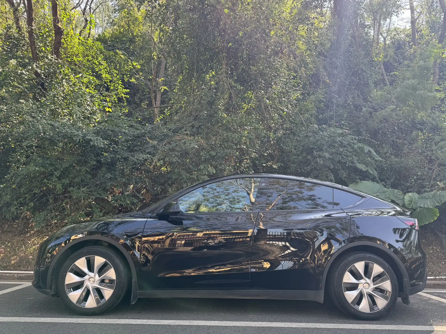 Tesla Model Y  из Китая