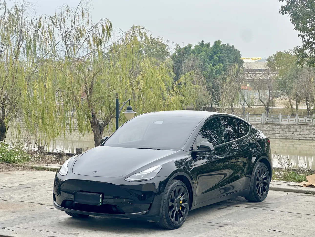 Tesla Model Y  из Китая