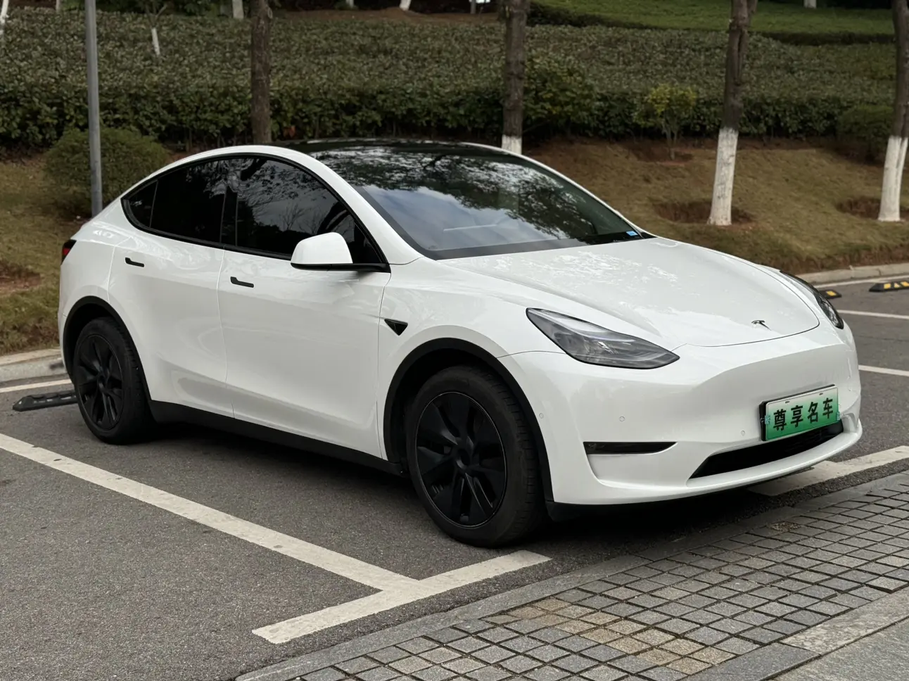 Tesla Model Y  из Китая