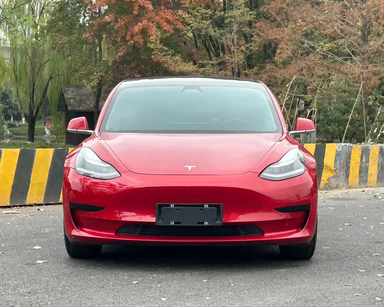 Tesla Model 3  из Китая