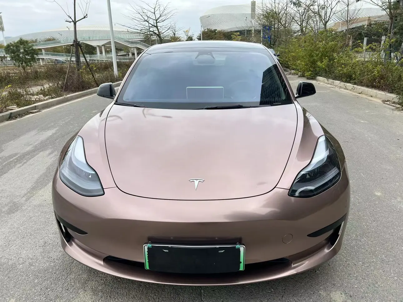 Tesla Model 3  из Китая