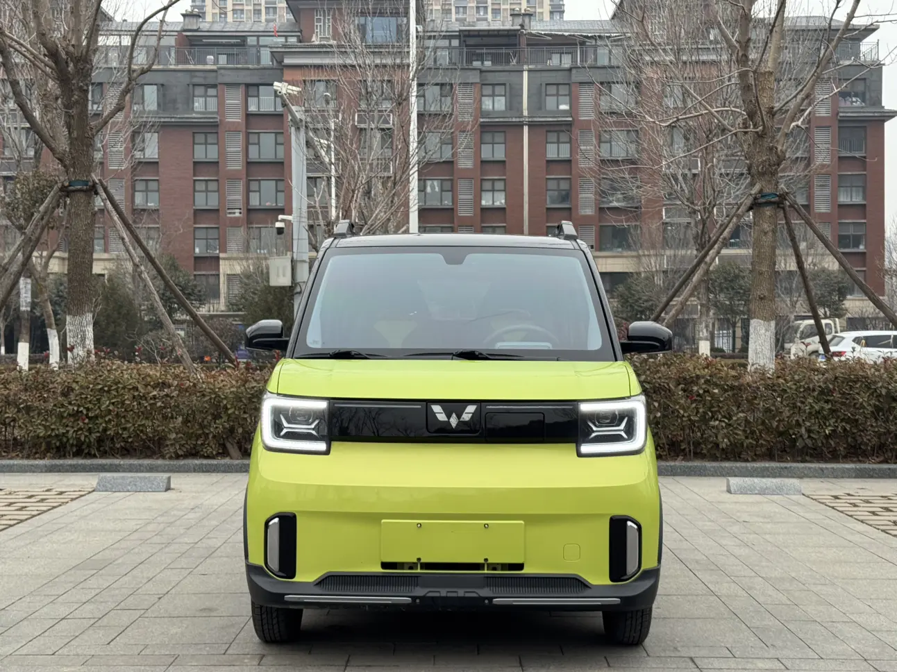 Wuling Hongguang MINIEV  из Китая