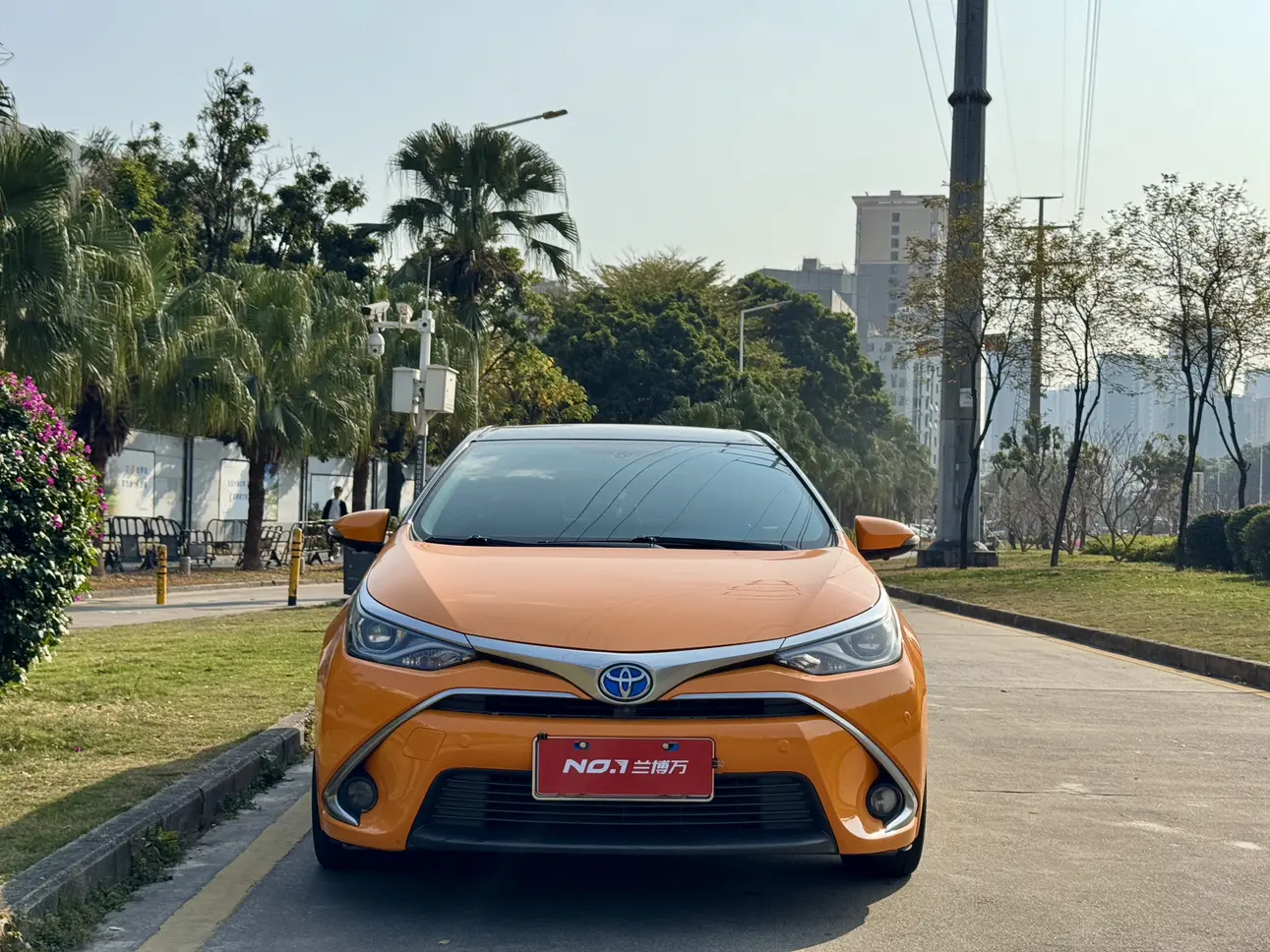 Toyota Levin (Lei Ling)  из Китая