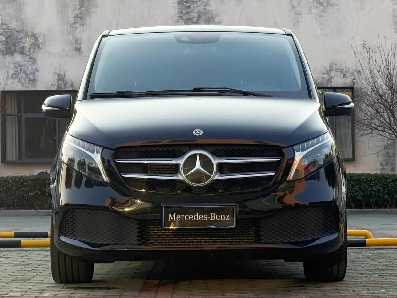 Mercedes-Benz Mercedes Benz V Class  из Китая