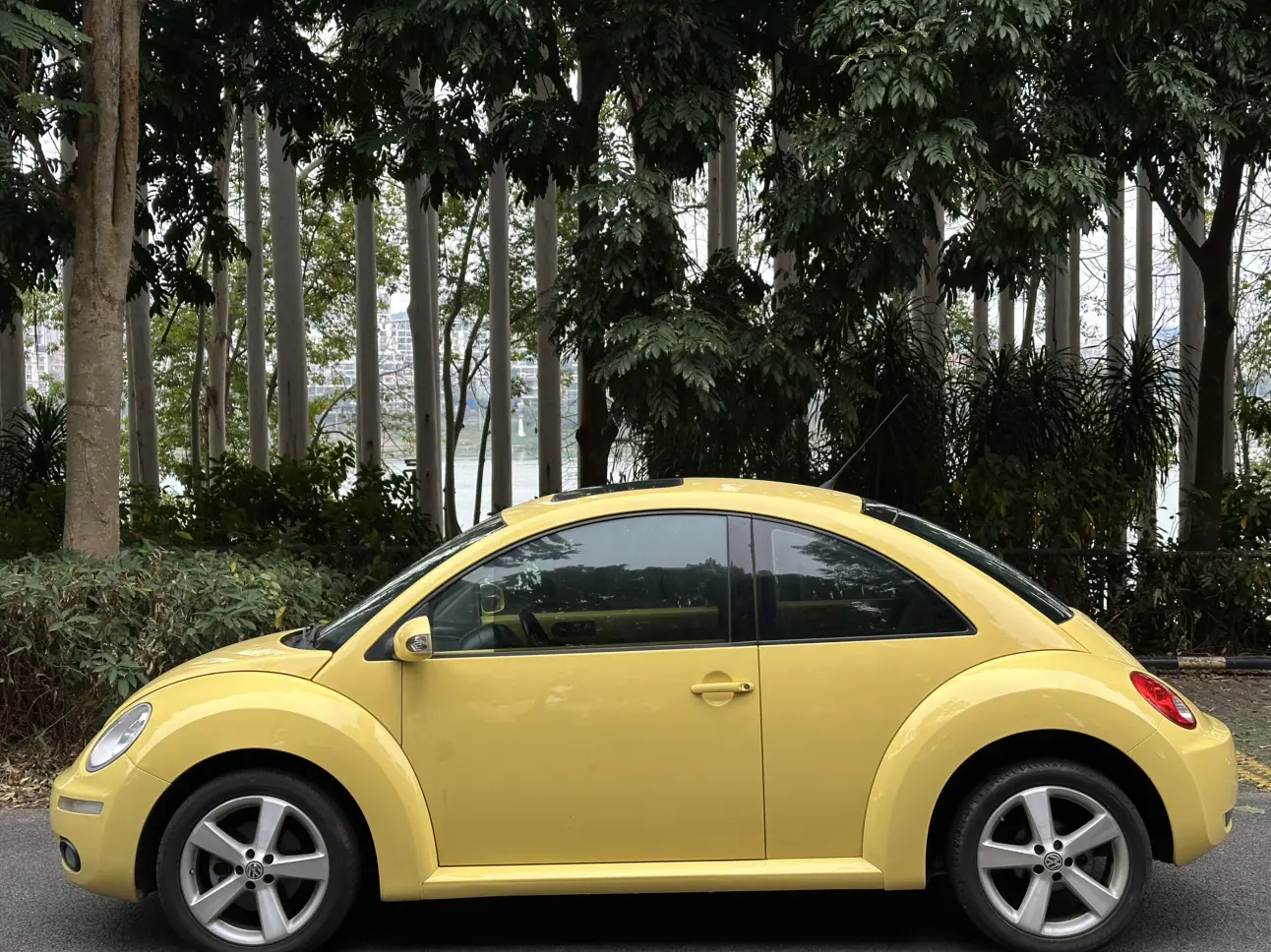 Volkswagen Beetle  из Китая
