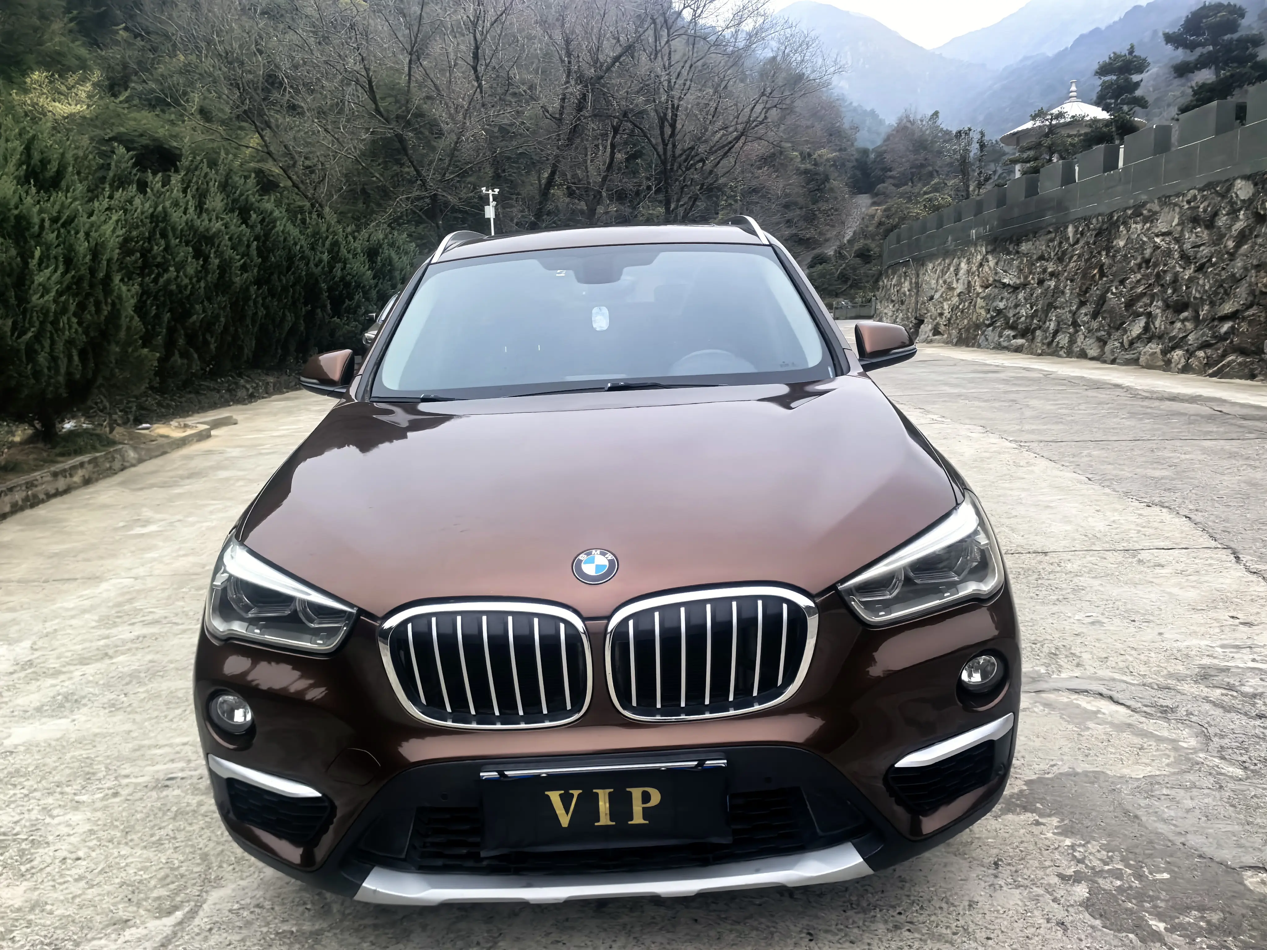 BMW X1  из Китая
