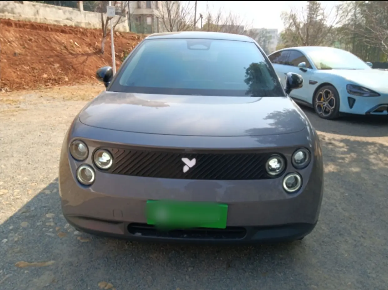 Firefly Firefly  из Китая