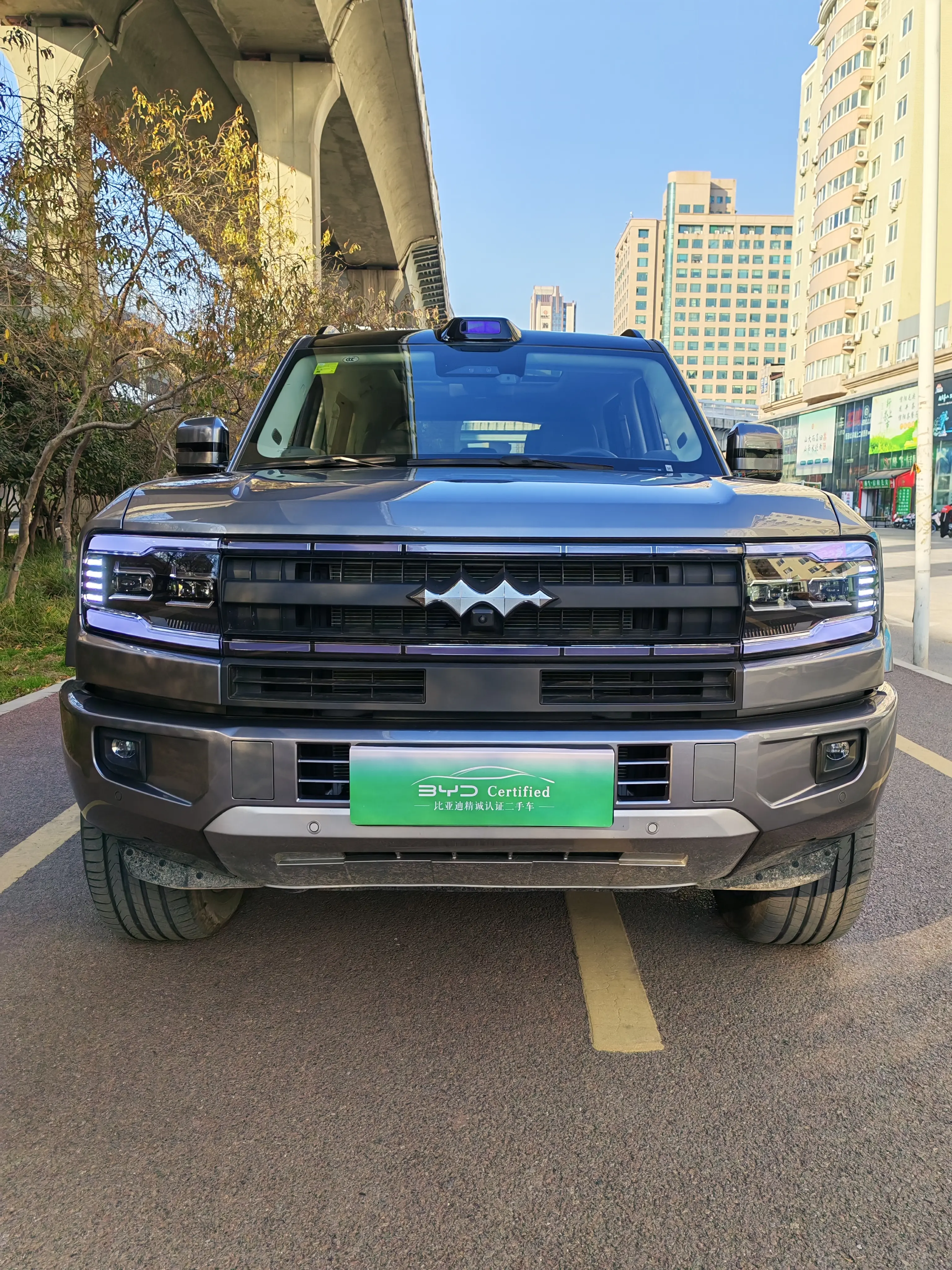 BYD Leopard Leopard 5  из Китая