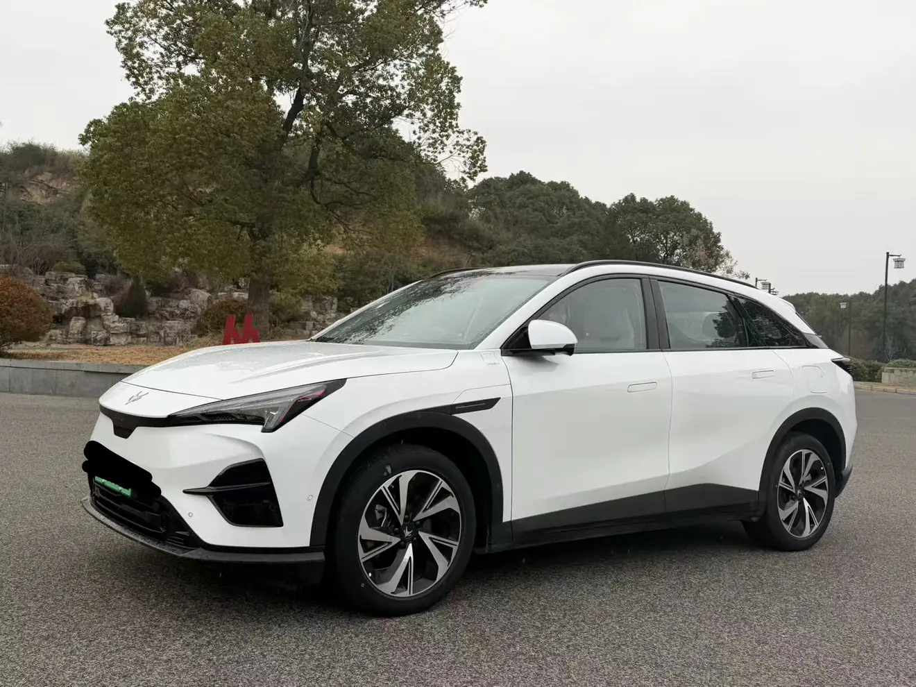 ARCFOX Extreme Fox JiFox Alpha T5  из Китая