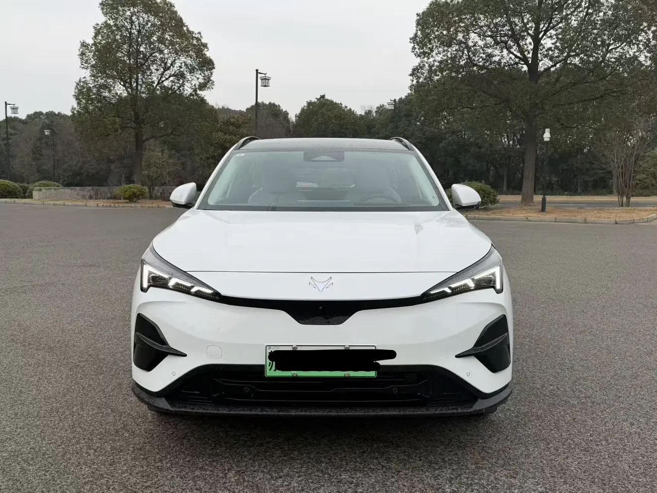 ARCFOX Extreme Fox JiFox Alpha T5  из Китая