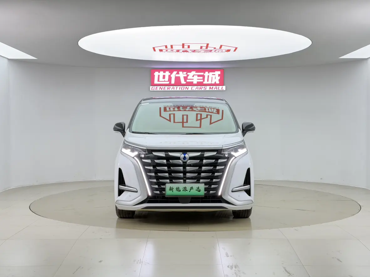 Denza D9 DM  из Китая