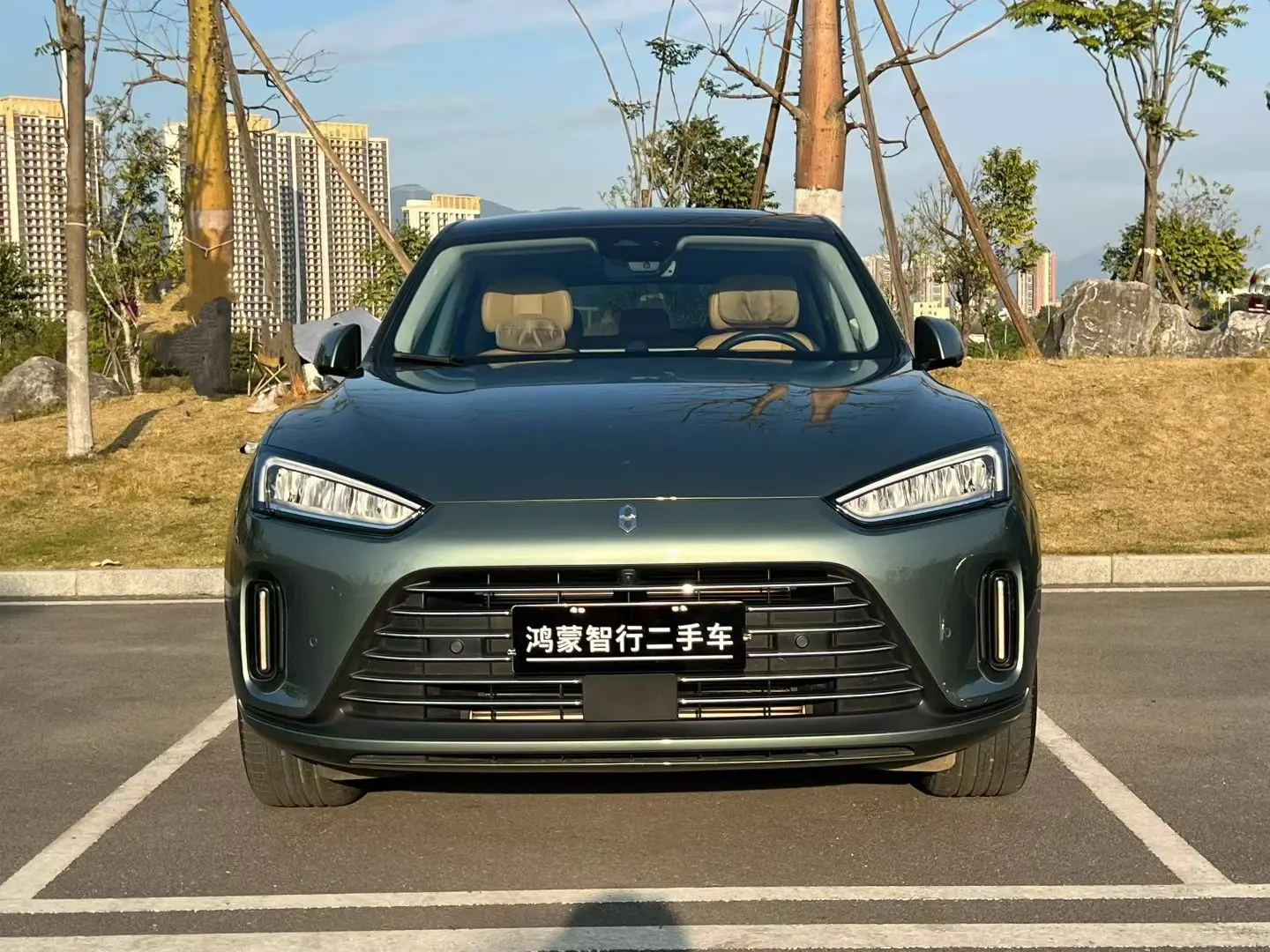 AITO M5 (Wenjie M5)  из Китая