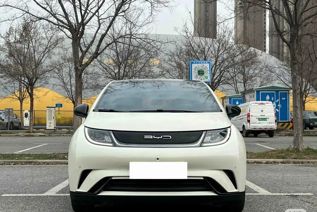 BYD Dolphin  из Китая