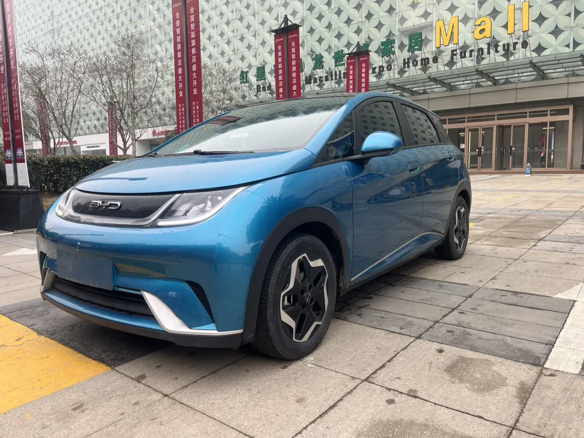 BYD Dolphin  из Китая