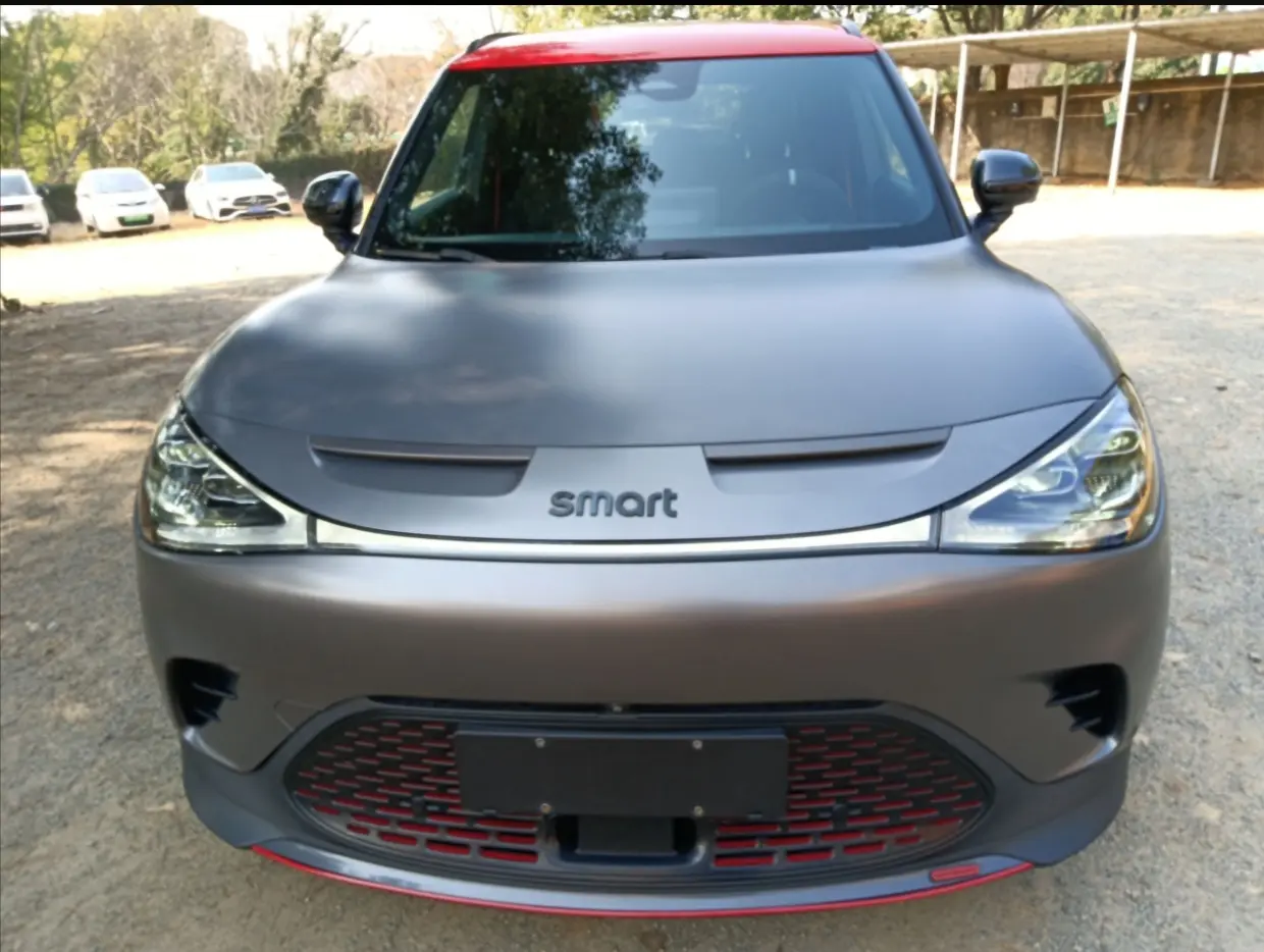 Smart elf #1  из Китая