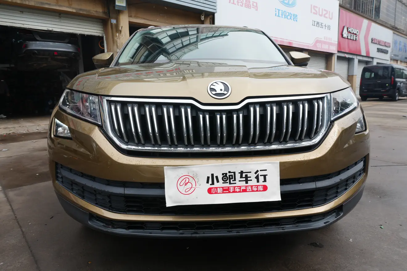 Skoda Kodiaq  из Китая