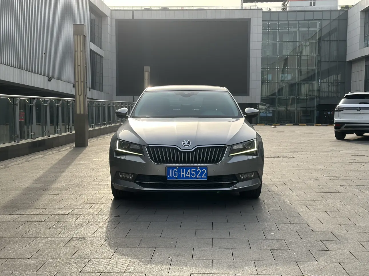 Skoda Speedy  из Китая