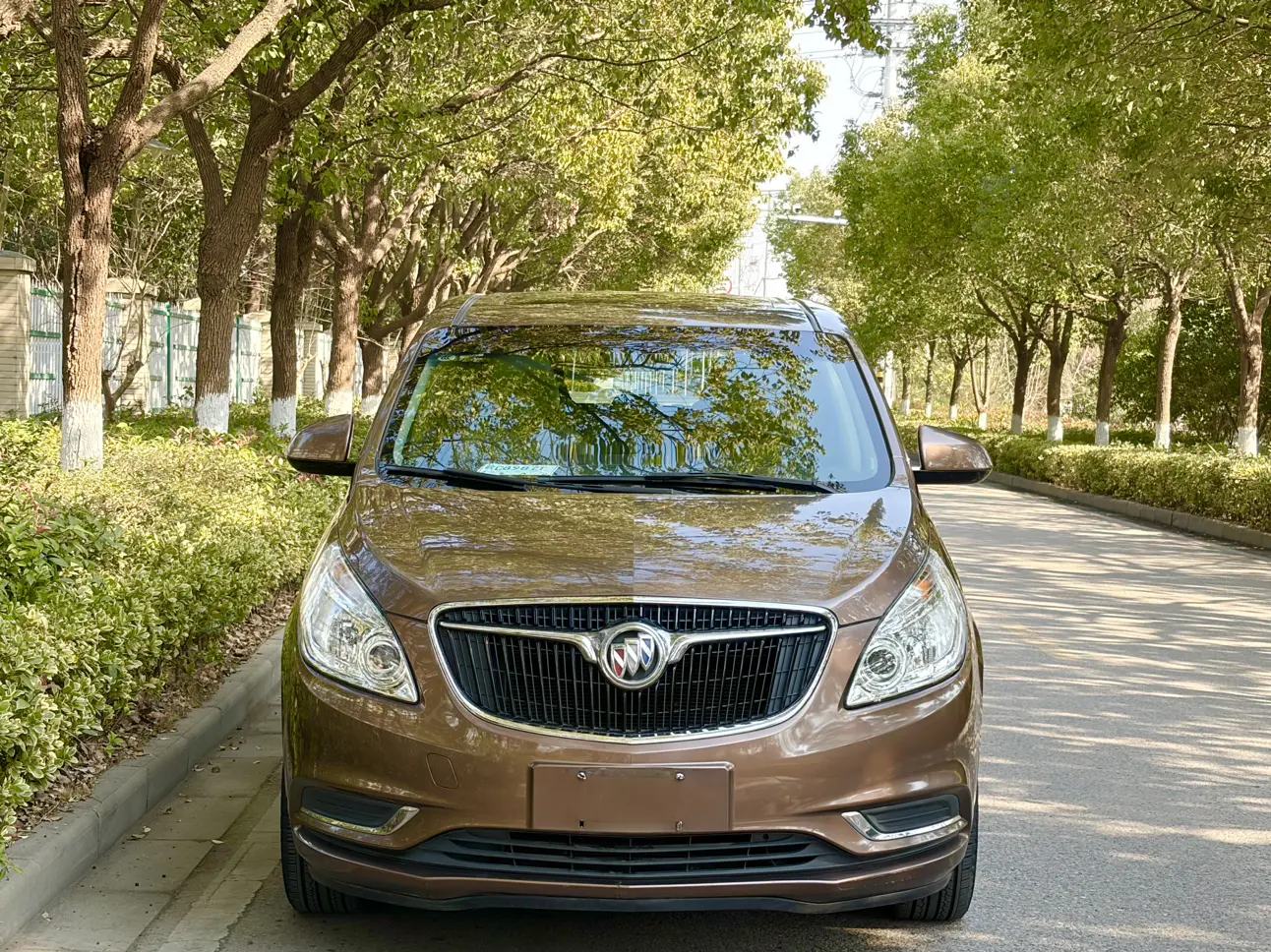 Buick GL8  из Китая