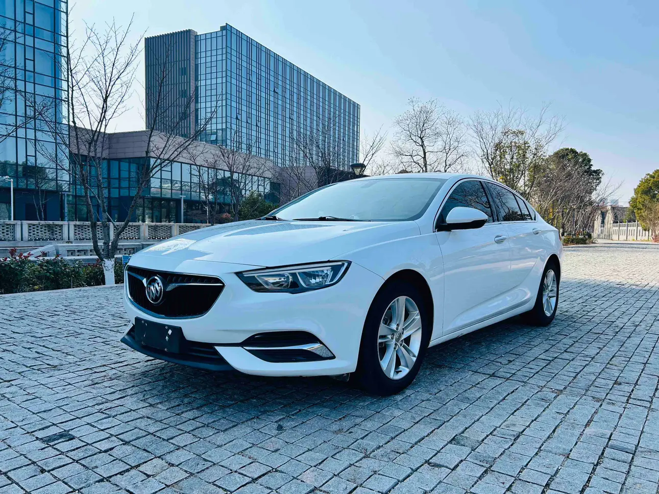 Buick Majesty