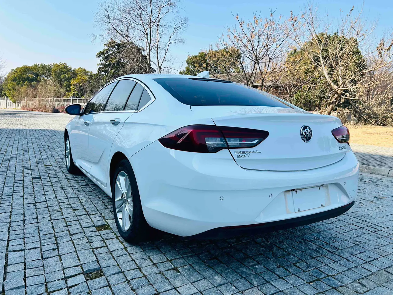 Buick Majesty