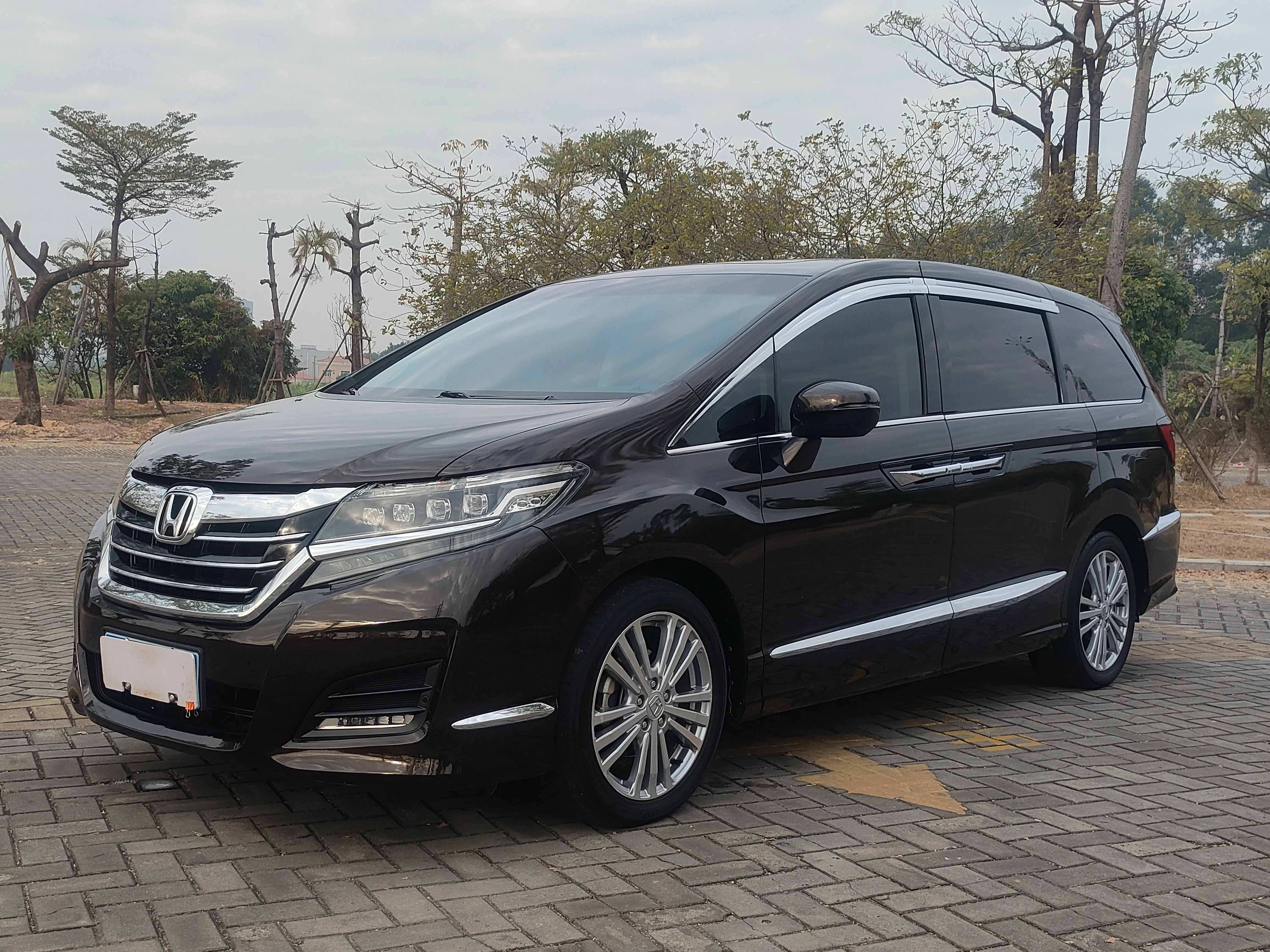 Honda Elysion (Alison)  из Китая