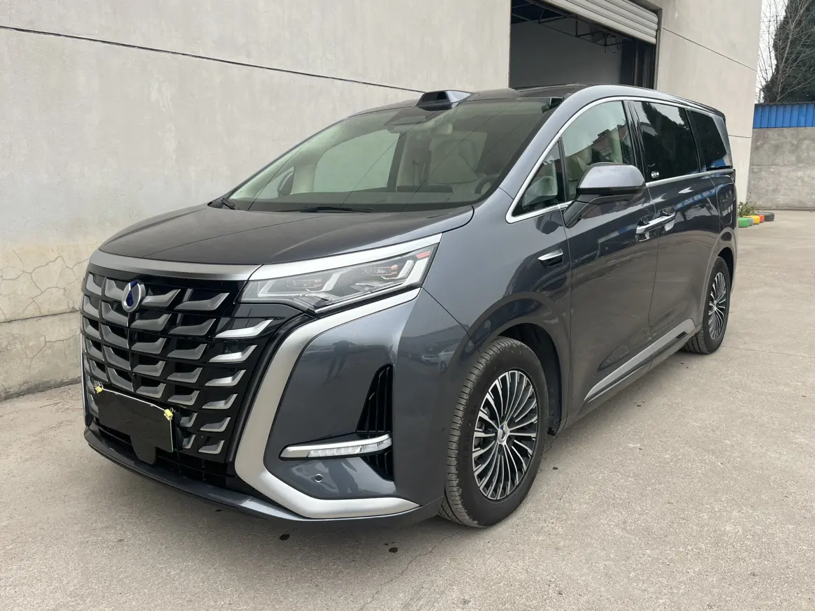 Denza D9 DM  из Китая