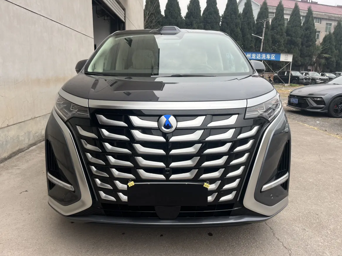 Denza D9 DM  из Китая