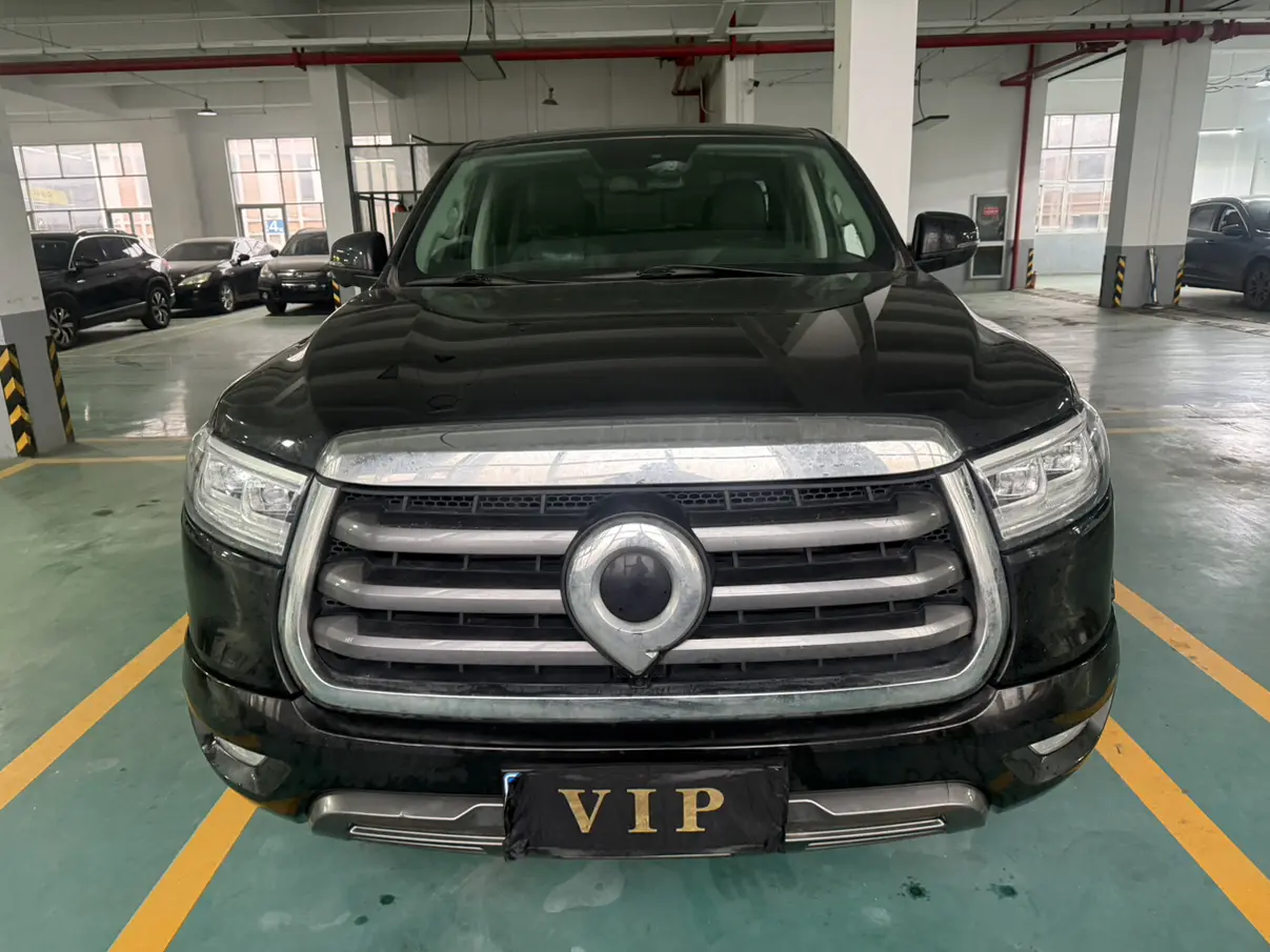 Great Wall Gun  из Китая