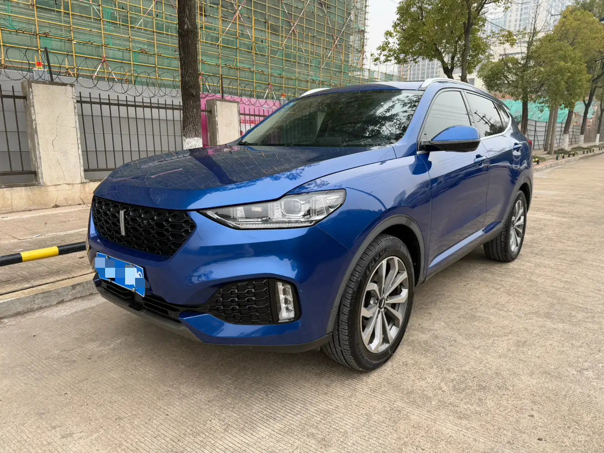 Wey Wei brand VV6