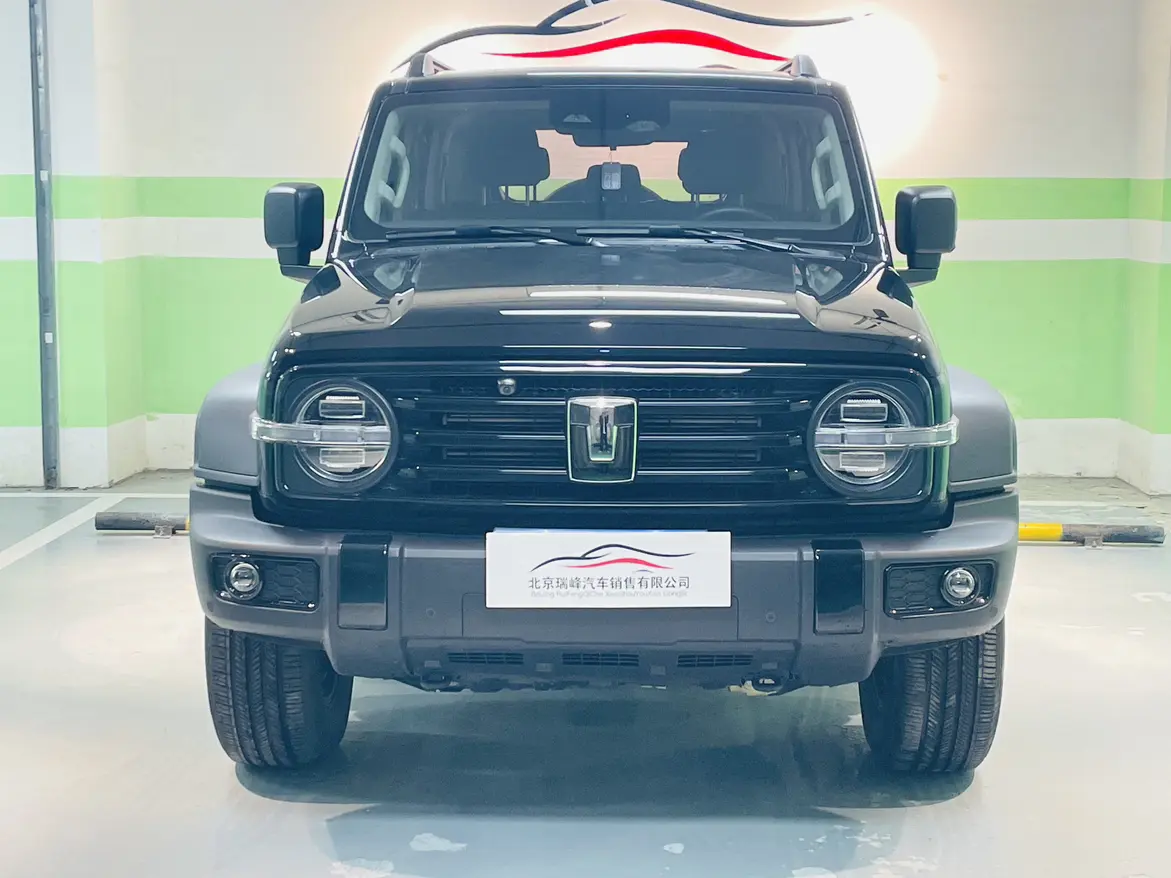 Tank 300  из Китая