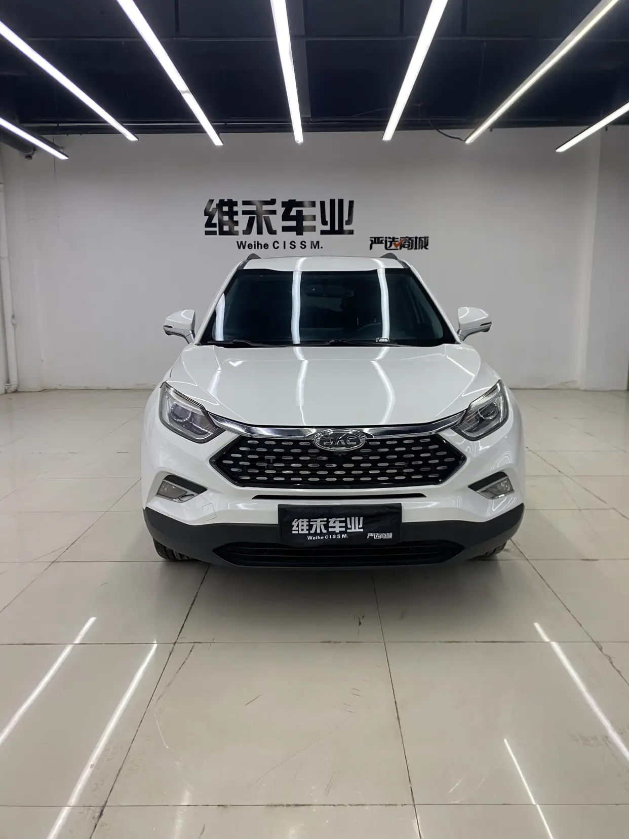 Jiangxi Ruifeng S4  из Китая